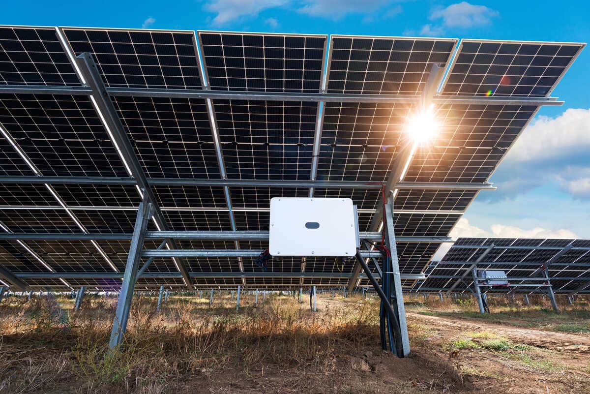 panouri fotovoltaice instalate pe pământ