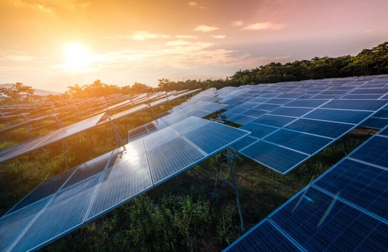 panouri fotovoltaice montate pe sol