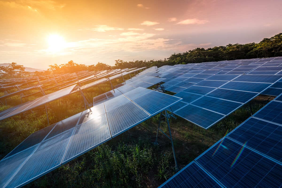 panouri fotovoltaice montate pe sol